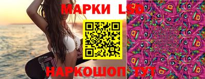 Альфа ПВП Кандалакша