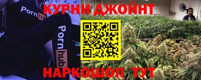 Альфа ПВП Кандалакша